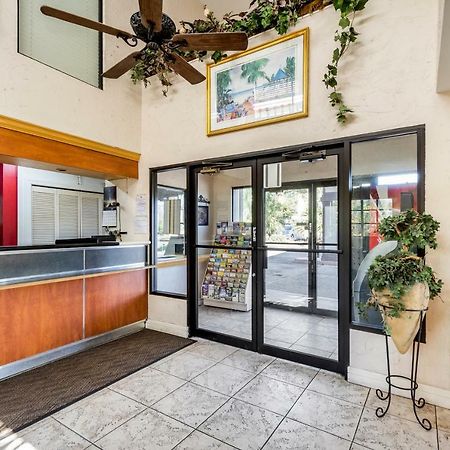 Econo Lodge Palm Harbor - Clearwater ภายนอก รูปภาพ