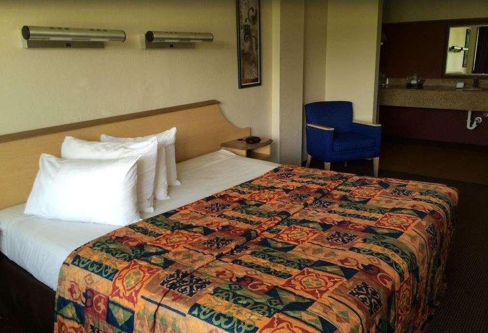 Econo Lodge Palm Harbor - Clearwater ห้อง รูปภาพ